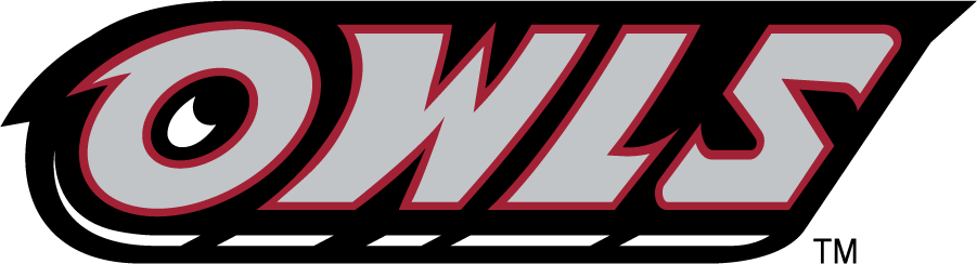 Temple Owls 1996-2014 Wordmark Logo v2 diy iron on heat transfer